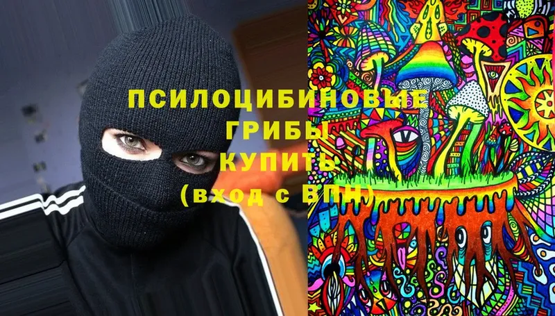 Псилоцибиновые грибы прущие грибы  Егорьевск 